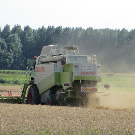 B&B Boerderij Wijtvliet Langeweg ภายนอก รูปภาพ