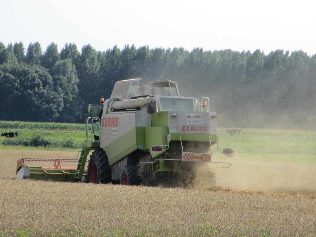 B&B Boerderij Wijtvliet Langeweg ภายนอก รูปภาพ